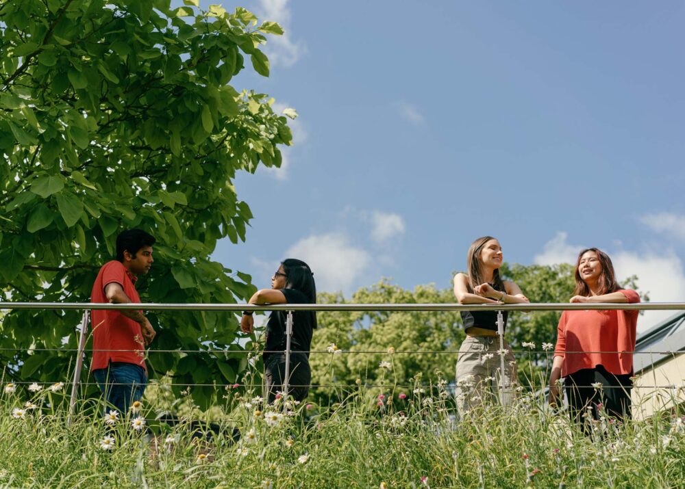 The University of Sheffield Management School