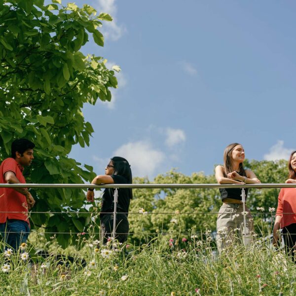 The University of Sheffield Management School