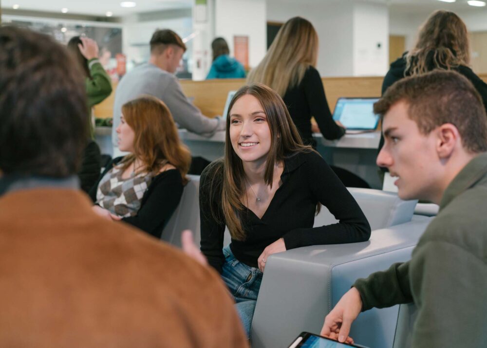 The University of Sheffield Management School Undergraduates